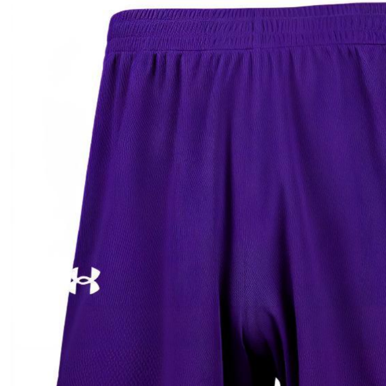 Under Armour Shorts Men’s Purple