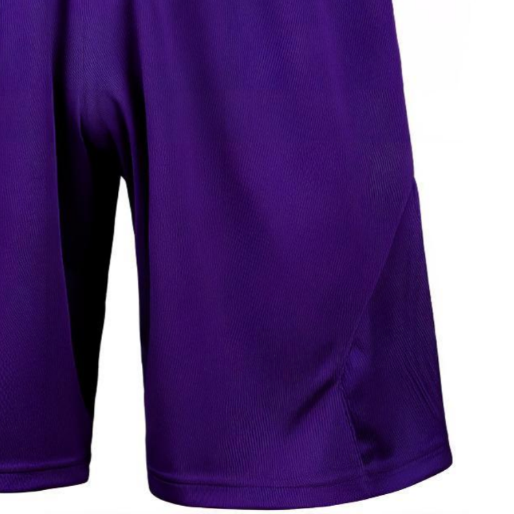 Under Armour Shorts Men’s Purple