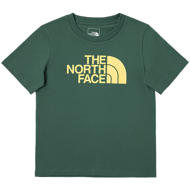 Футболка The North Face (серая)