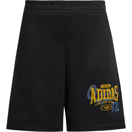 Adidas Originals RETRO SS25 MESH SHORTS Sports Shorts Unisex