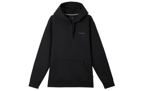 Patagonia Boardshort Logo Hoody