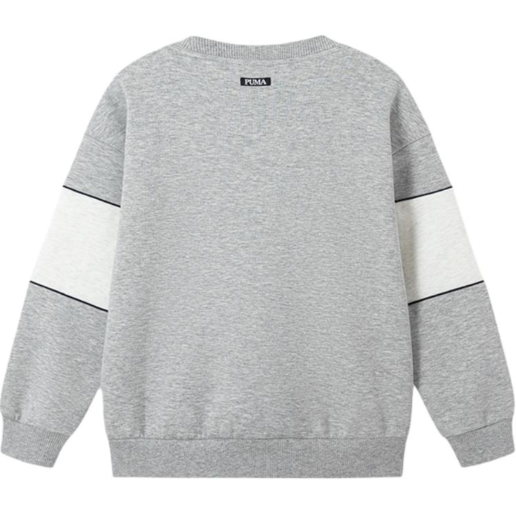 Унисекс худи PUMA SportstyleAthletic 25 (разноцветный) — фото 2