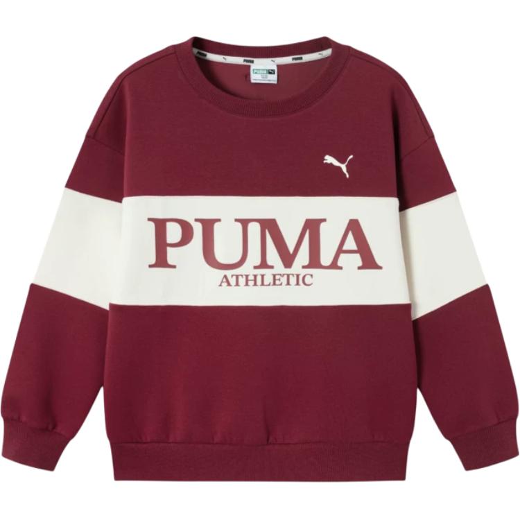 Унисекс худи PUMA PUMA SportstyleForever 25 (разноцветное)