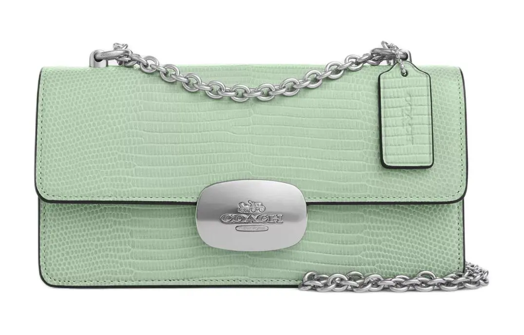 COACH Eliza Leather Shoulder Bag, Crossbody Bag Small Women's Silver & Light Green