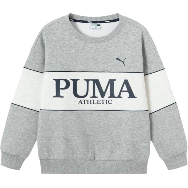 Унисекс худи PUMA PUMA SportstyleAthletic 25 (разноцветный)