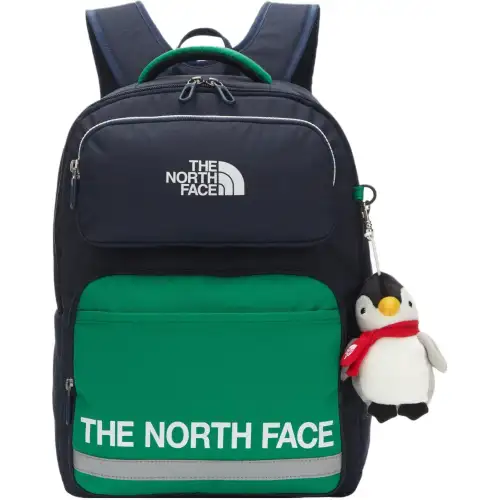 THE NORTH FACE Outdoor Bags Polyester Blue Green Men's