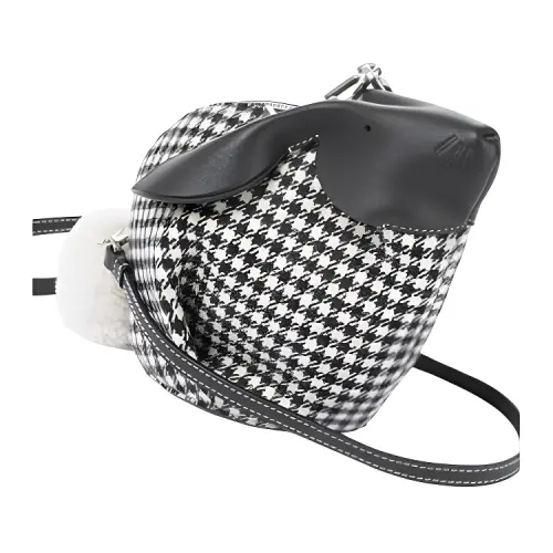 LOEWE Crossbody Bags