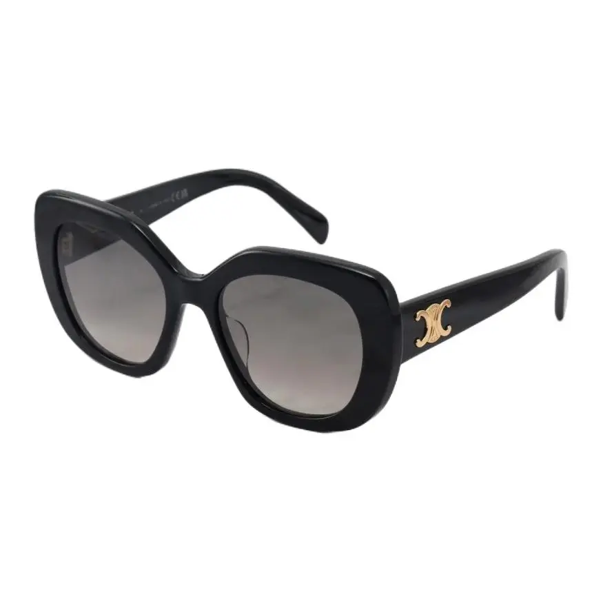 CELINE Triomphe 06 Sunglasses In Acetate