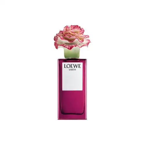 LOEWE Pink Petal