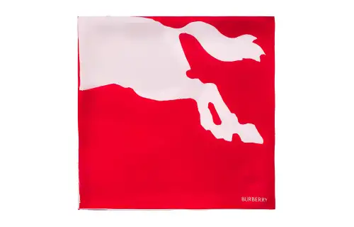【Previous Season】EKD two-tone silk scarf