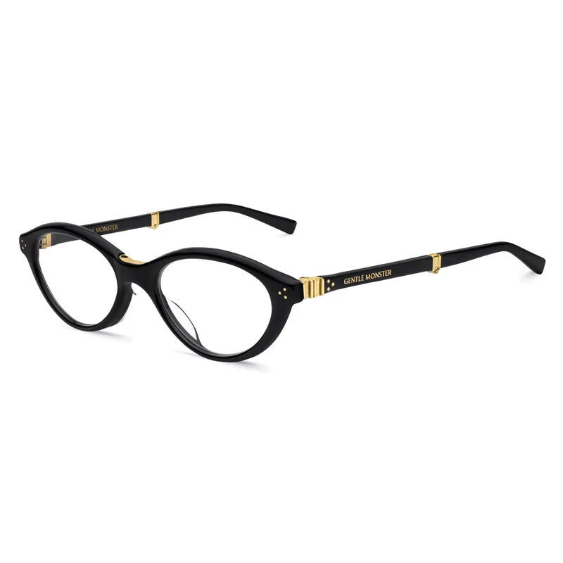 Gentle Monster Takion 01 glasses