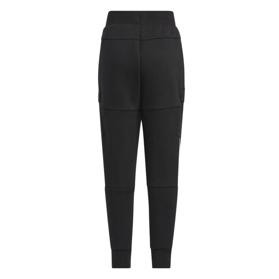 Мужские штаны adidas Urban Outdoor Pants (черные) — фото 2