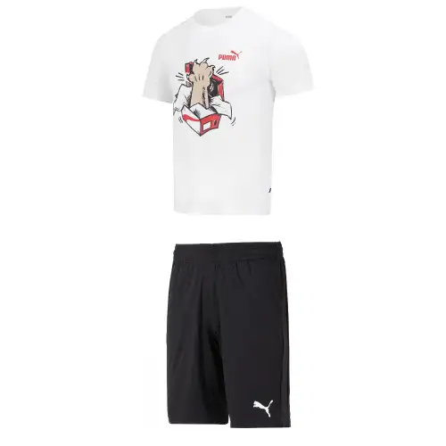 PUMA Casual Sportswear Men's Crew Neck Moderate