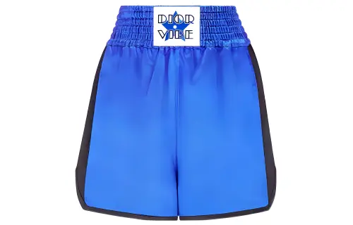 DIOR Quarterly New Products Casual Shorts Women's Blue Moderate