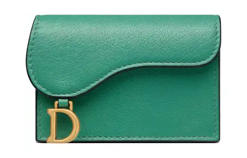 DIOR Saddle Goatskin Card Holder, Wallet Women's Green