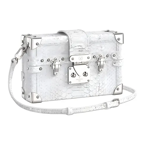 LOUIS VUITTON PETITE MALLE Python Skin Shoulder Bag Women's Silver