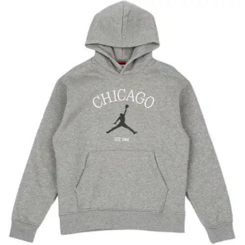 Jordan Apparel Sweatshirts Men's Gray Hooded Moderate
