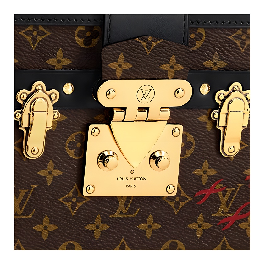Женская сумка Louis Vuitton Petite Malle (черно-коричневая) — фото 5