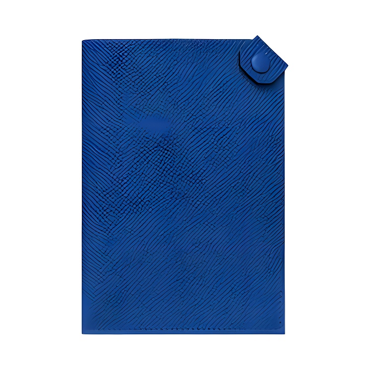 HERMES Tarmac Cow Leather Passport Holder Women's O8 Bleu & Royal Blue & Royal Blue