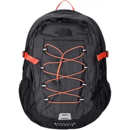 THE NORTH FACE Borealis Classic Backpack