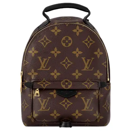 LOUIS VUITTON Palm Springs Coated Canvas With Cow Leather Trim Backpack Mini Women's Brown