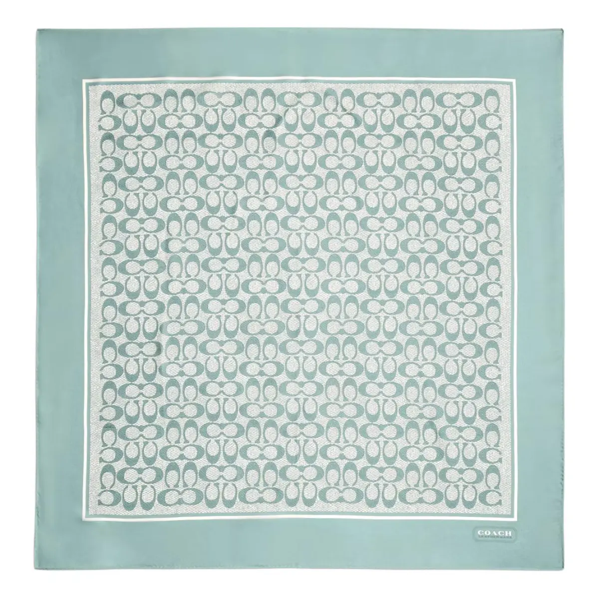 COACH Silk Scarves Women's Gray Green