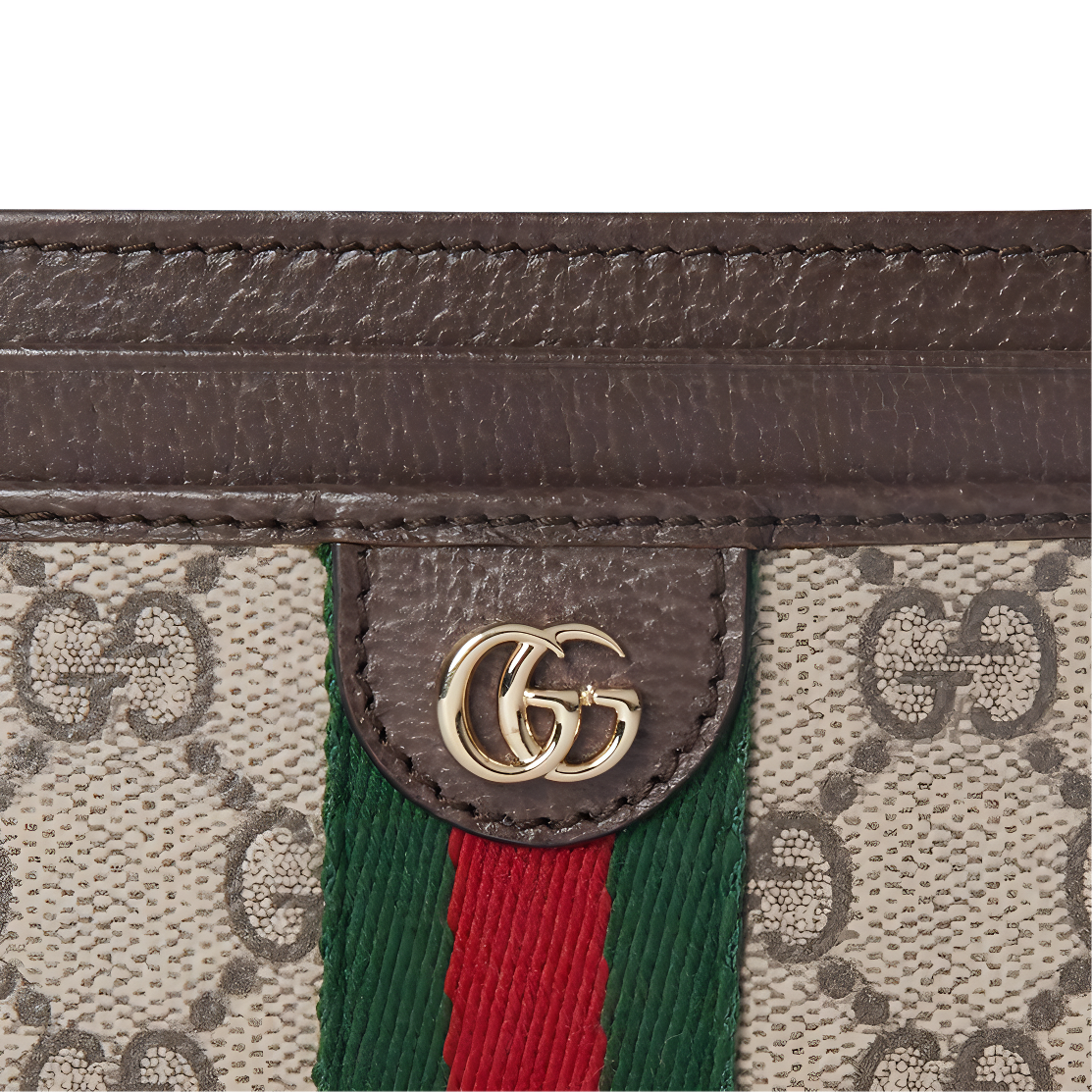 Сумка Gucci Ophidia G (коричневая) — фото 5