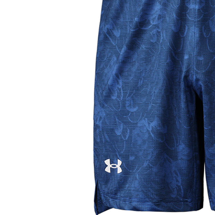 Under Armour Sports Shorts Men’s Blue Moderate