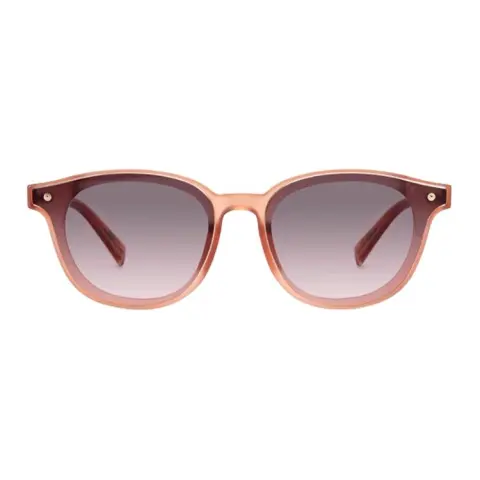 Levi's Plate Oval Sunglasses Unisex Multicolor