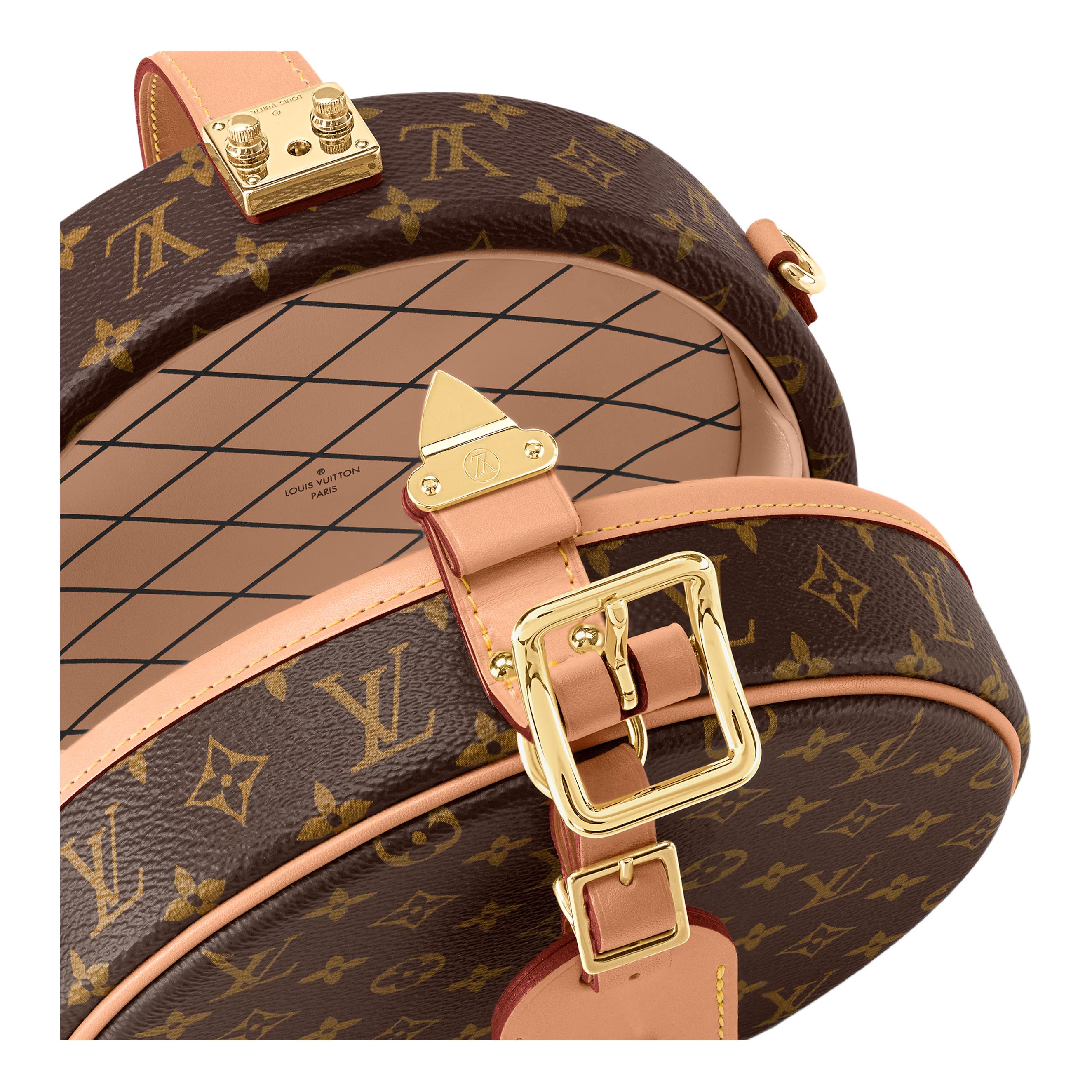 Женские сумка Louis Vuitton LOUIS VUITTON Petite Boite Chapeau (коричневый) — фото 5