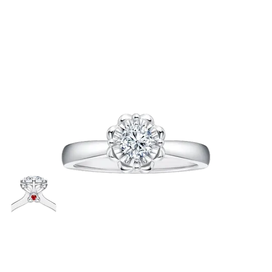 DR Platinum Diamond Ring Women's