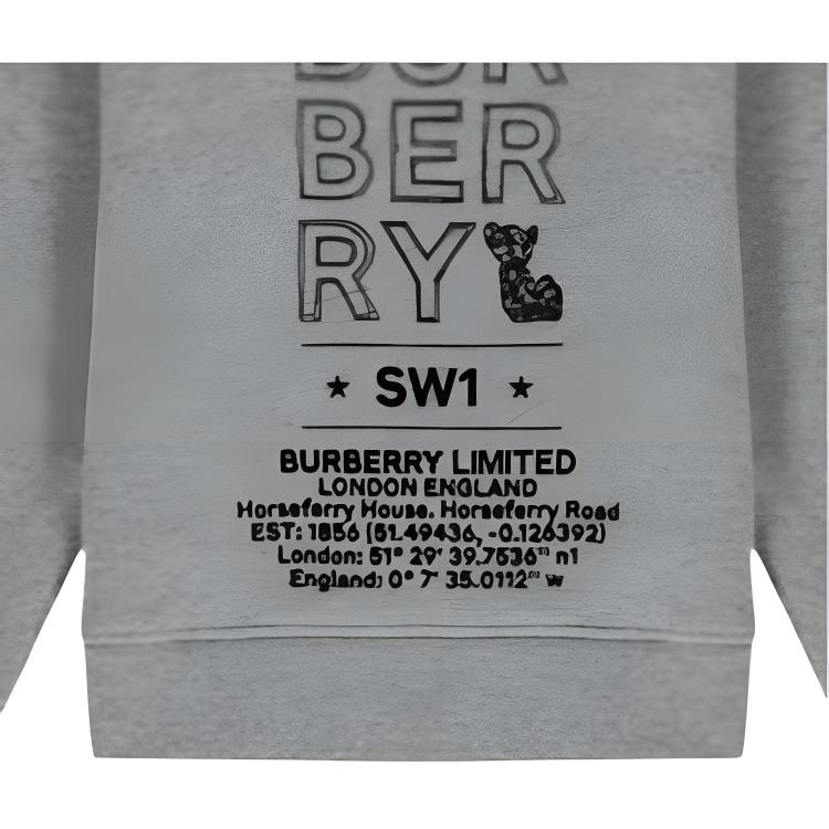Детская толстовка Burberry (серый) — фото 4