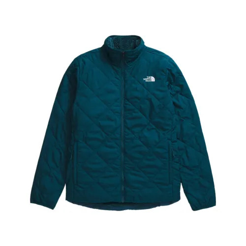 THE NORTH FACE Jackets Women's Turquoise Stand Collar Moderate Other