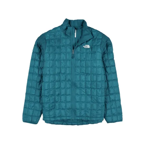 THE NORTH FACE Jackets Women's Blue Stand Collar Moderate Other