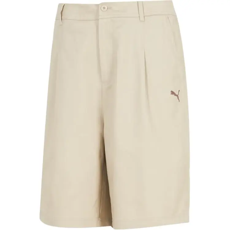 PUMA Sports Shorts Men's Beige Moderate