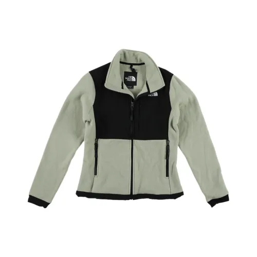 THE NORTH FACE Denali 2 Jackets & Coats Women's
