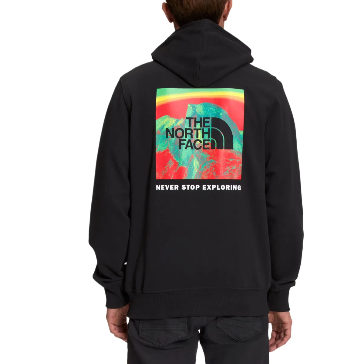 THE NORTH FACE Nse Sweatshirt Men's