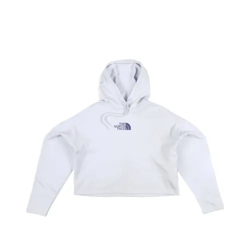 THE NORTH FACE HORIZON Performance Fleece Po Hoodie Sweatshirt Women's