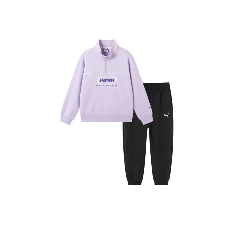 Спортивный костюм PUMA PERFORMANCE FW25 (разноцветный)