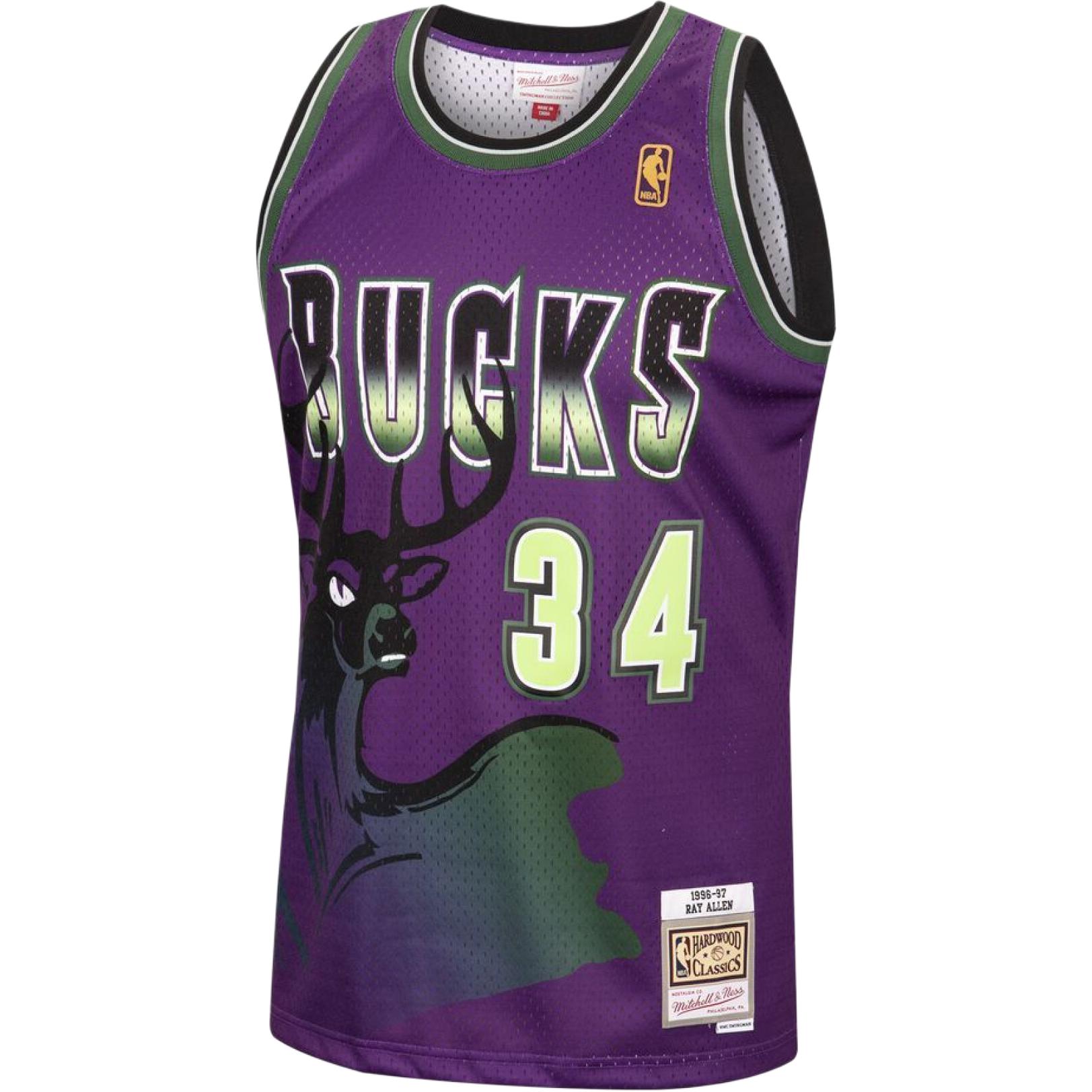 Mitchell Ness Ray Allen jersey