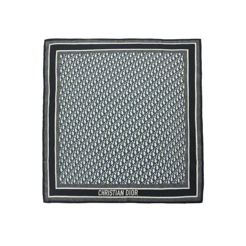 DIOR Scarves Unisex Gray