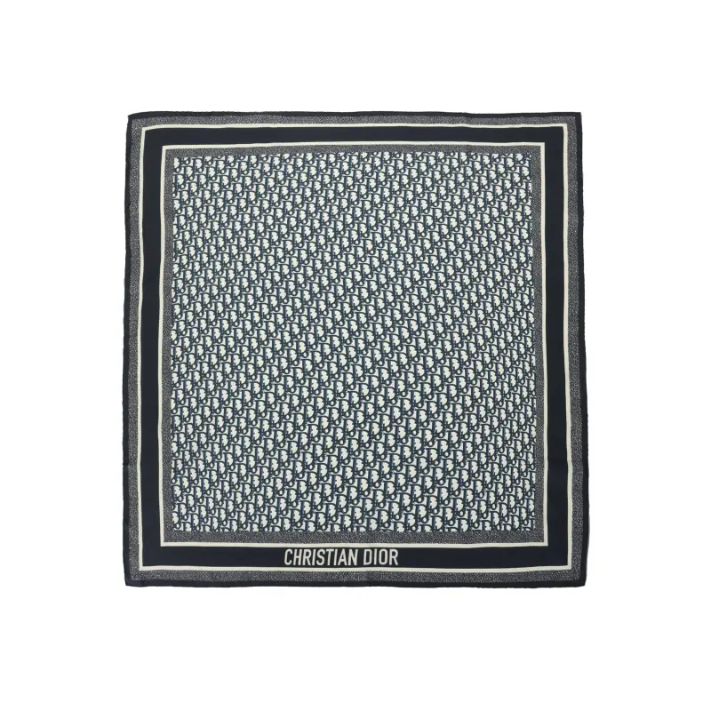 DIOR Scarves Unisex Gray