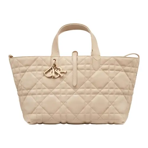 DIOR Toujours Cow Leather Native Handbag Medium Women's Pink Beige