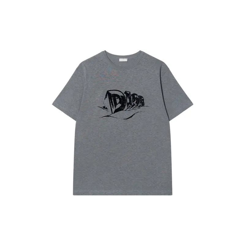DIOR T Shirts Men's Gray Crew Neck Moderate Straight Fit