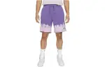 Nike Sports Shorts Men's Purple Moderate