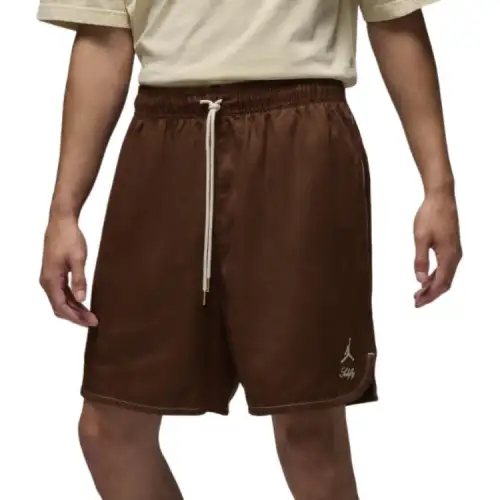 Jordan Casual Shorts Men's Brown
