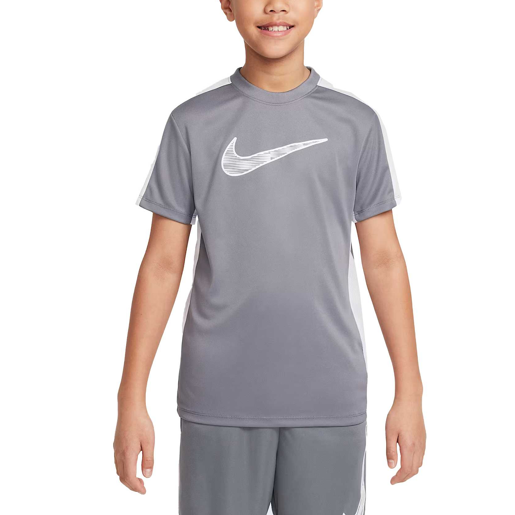 Мужская футболка Nike Dri-Fit (серая)