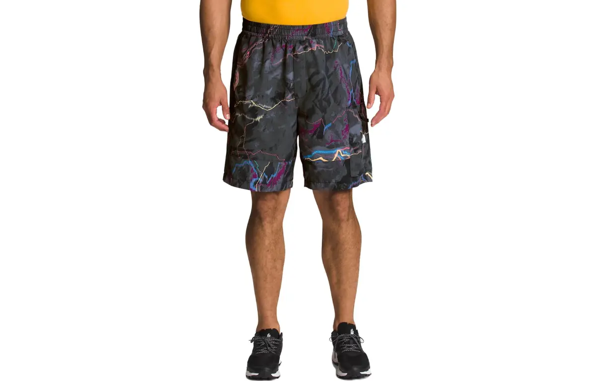 THE NORTH FACE Casual Shorts Men's Multicolor Moderate