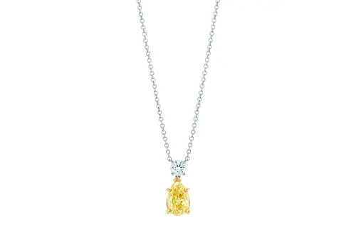 TIFFANY & CO. 18K Gold, Platinum, Yellow Diamond, White Diamond Necklaces Women's Gold