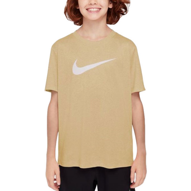 Футболка Nike T-shirt (голубая)